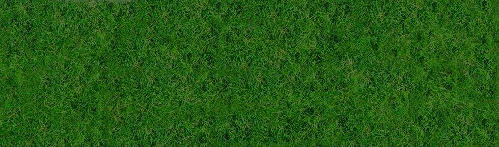 Footer Grass